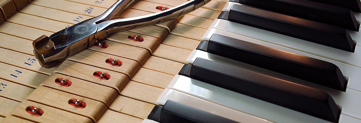 5e819dab2f6a5.jpg 5e819dab2f6a5.jpg