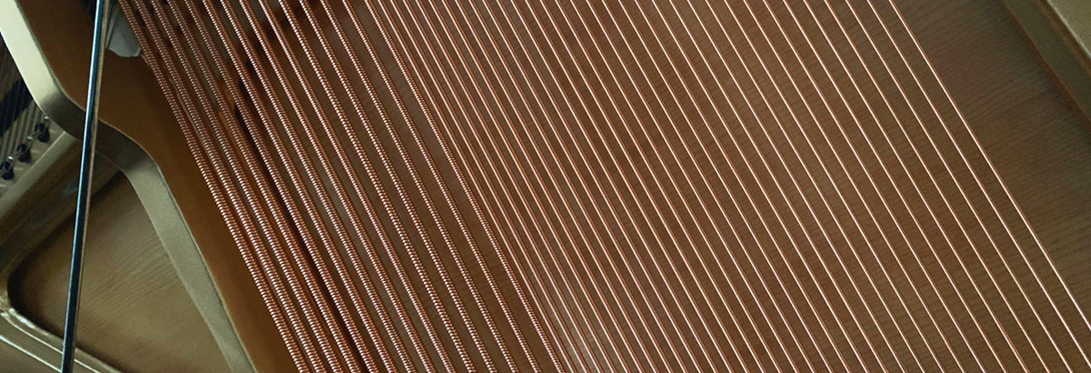 5e799bec23164.jpg 5e799bec23164.jpg